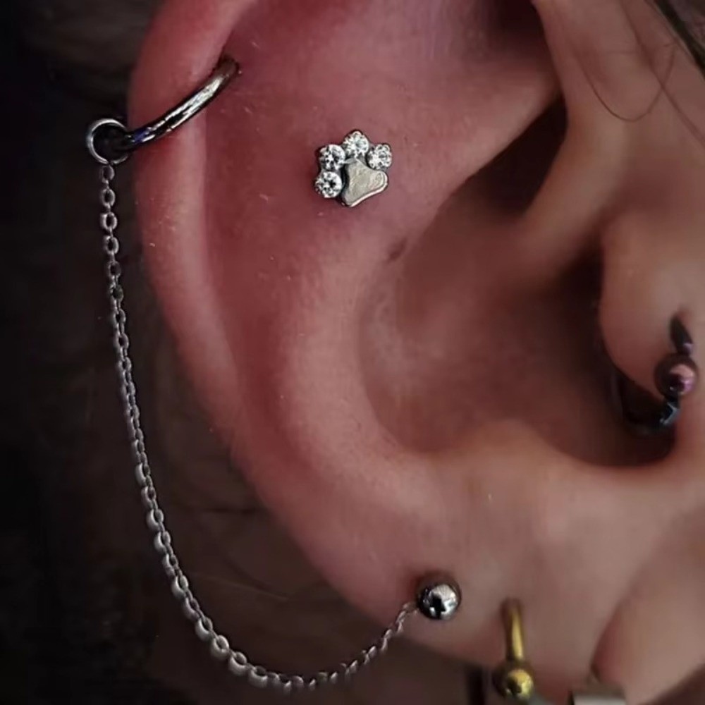 チタン製ノーズチェーン 三層チェーン ダブルチェーン 鼻孔チ - Body Jewelry Piercing のレビューと価格