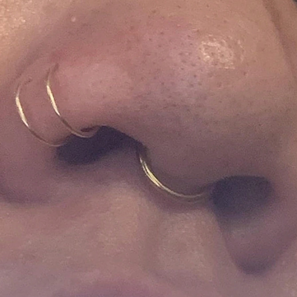 フェイクノーズリング、フェイクセプタム（女性用）、フェイクノ - Body Jewelry Piercing のレビューと価格